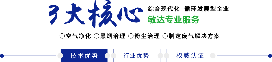 大骚奶高潮日韩敏达环保科技（嘉兴）有限公司